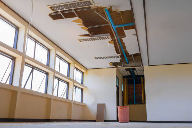 Best Basement water damage restoration  in East Kapolei, HI