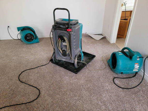 Best Professional water damage repair  in East Kapolei, HI