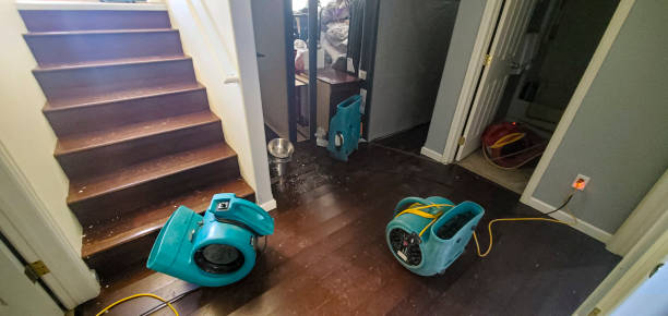 Best Water damage restoration near me  in East Kapolei, HI