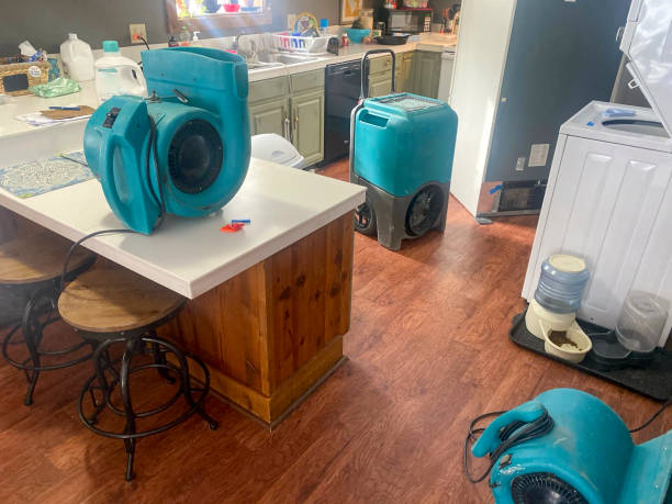 Best Local water damage restoration  in East Kapolei, HI
