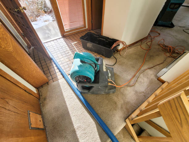 Best Flood damage cleanup  in East Kapolei, HI