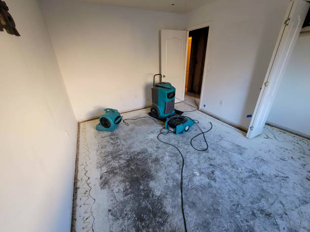 Best Basement water damage restoration  in East Kapolei, HI