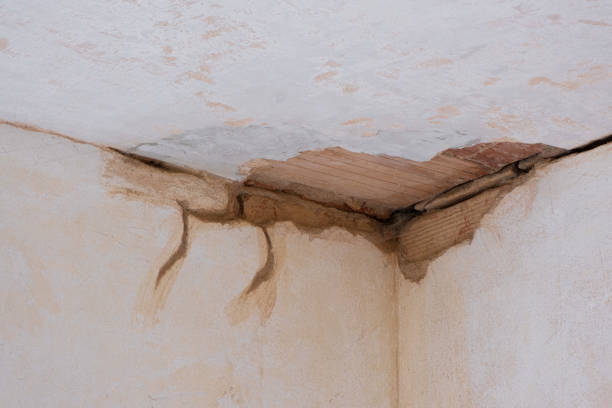 Best Mold removal after water damage  in East Kapolei, HI