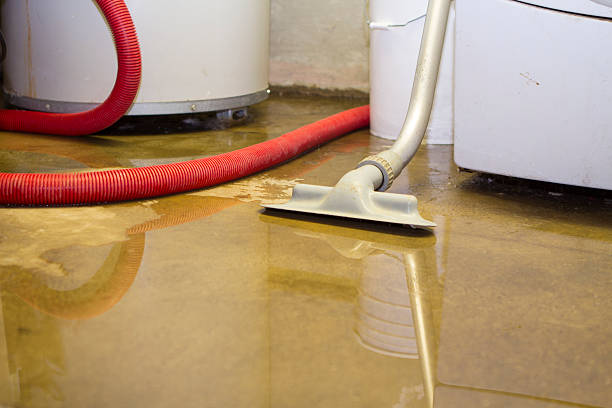 Best Ceiling water damage repair  in East Kapolei, HI