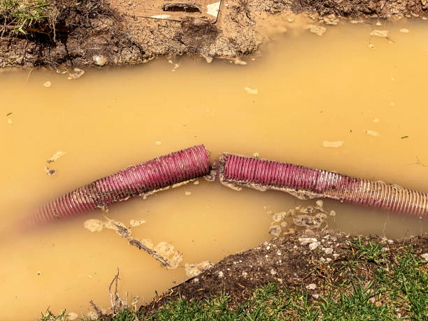 Best Water damage restoration near me  in East Kapolei, HI