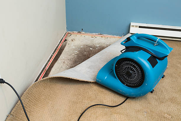 Best Water damage restoration near me  in East Kapolei, HI